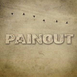 Painout (2015)